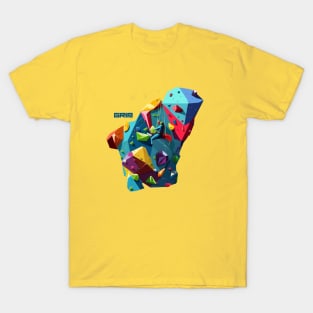 Climb in color T-Shirt